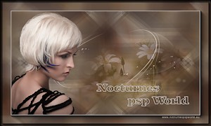 Nocturne PSP World