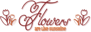 Flowers are like sunshine