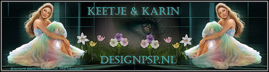 Design Psp - Karin