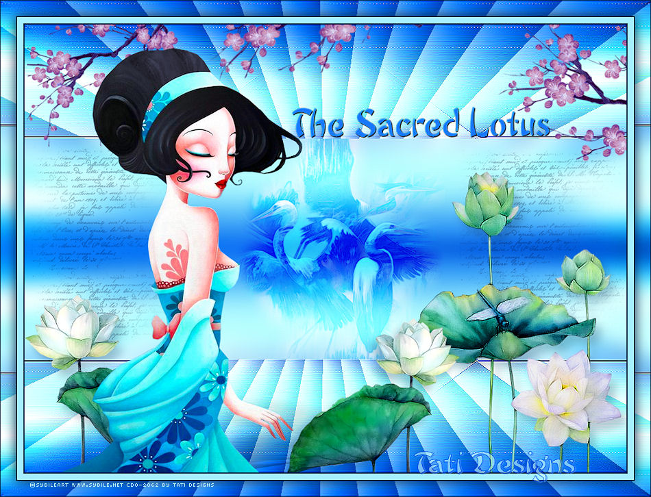 The Sacred Lotus
